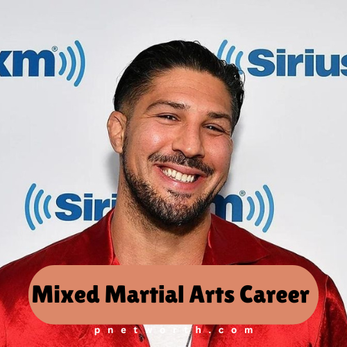 Brendan Schaub Net Worth