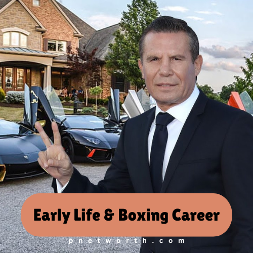 Julio Cesar Chavez Net Worth